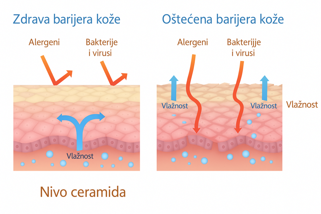 10 znakova oštećene barijere kože lica i tela