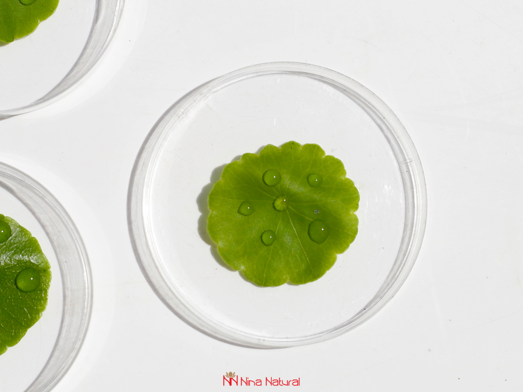 Which Products to Use for Skin Cycling? (Exfoliants, Retinoids, Hydrators)