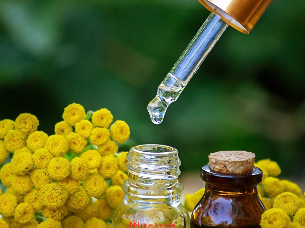 Najbolji prirodni sastojci za obnovu barijere